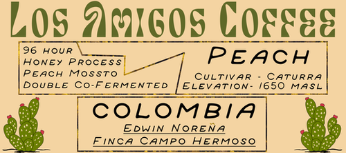 Colombia 96 Hour PEACH Mossto Double Co-Fermented from Los Amigos Coffee