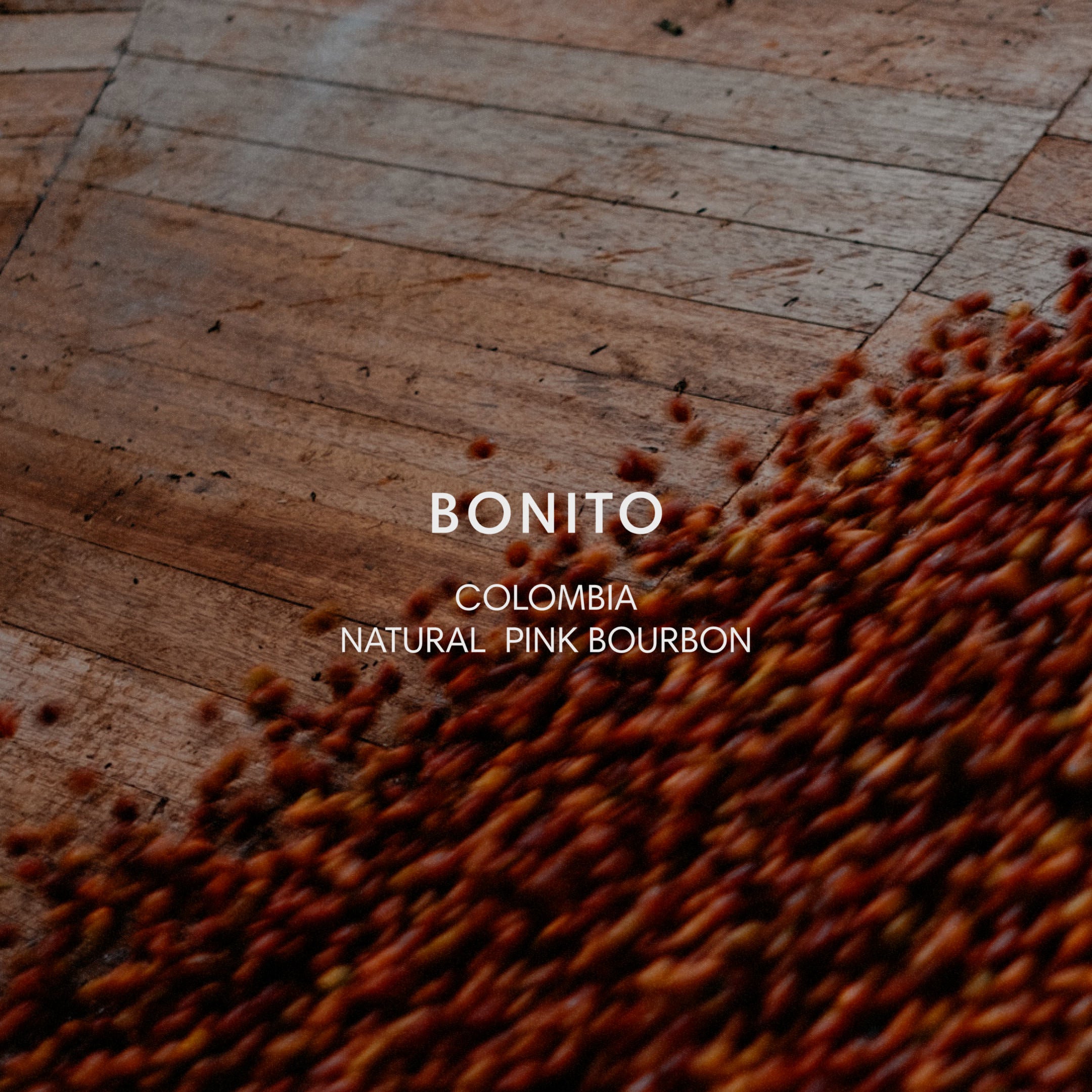 Bonito Natural from Mazelab Coffee