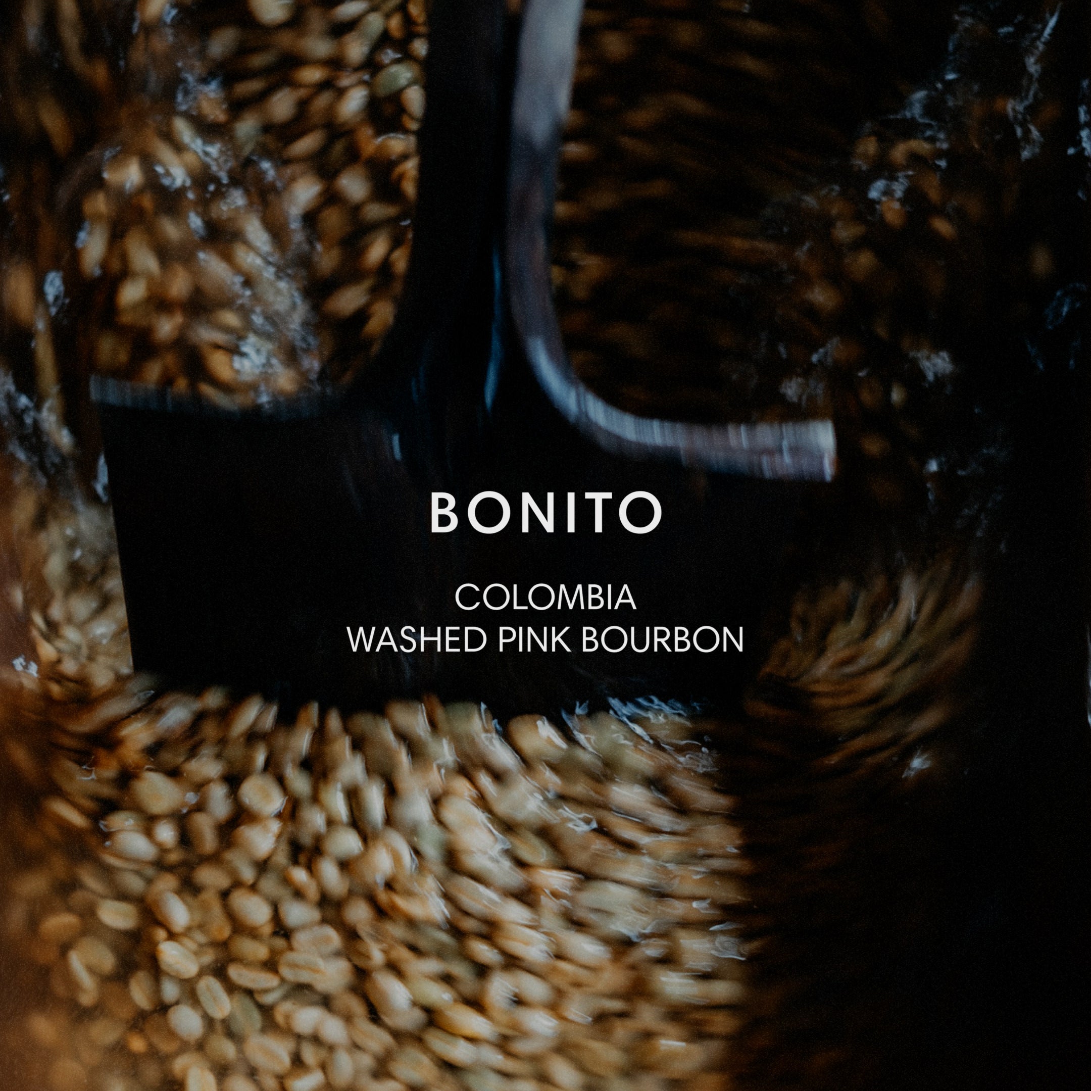 BONITO WASHED from Mazelab Coffee