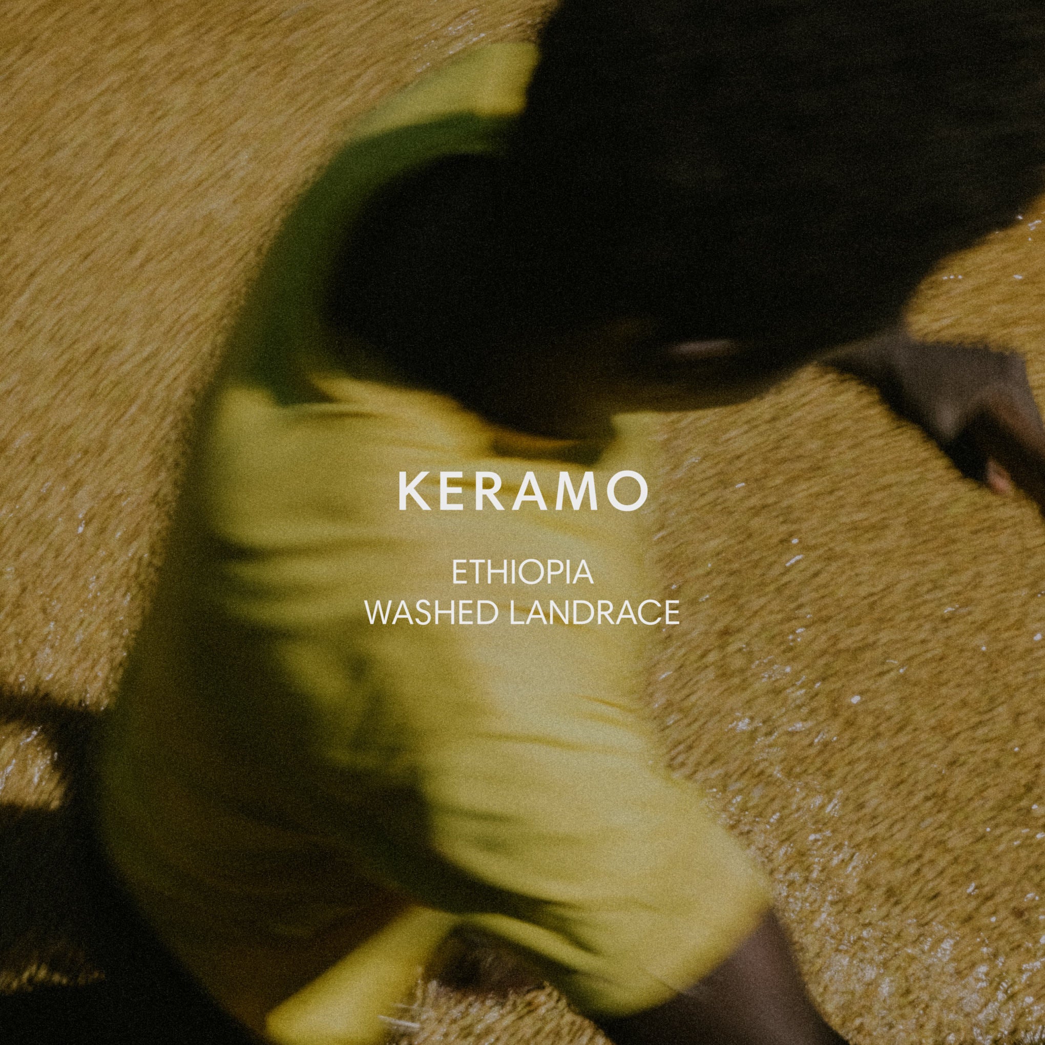 KERAMO from Mazelab Coffee