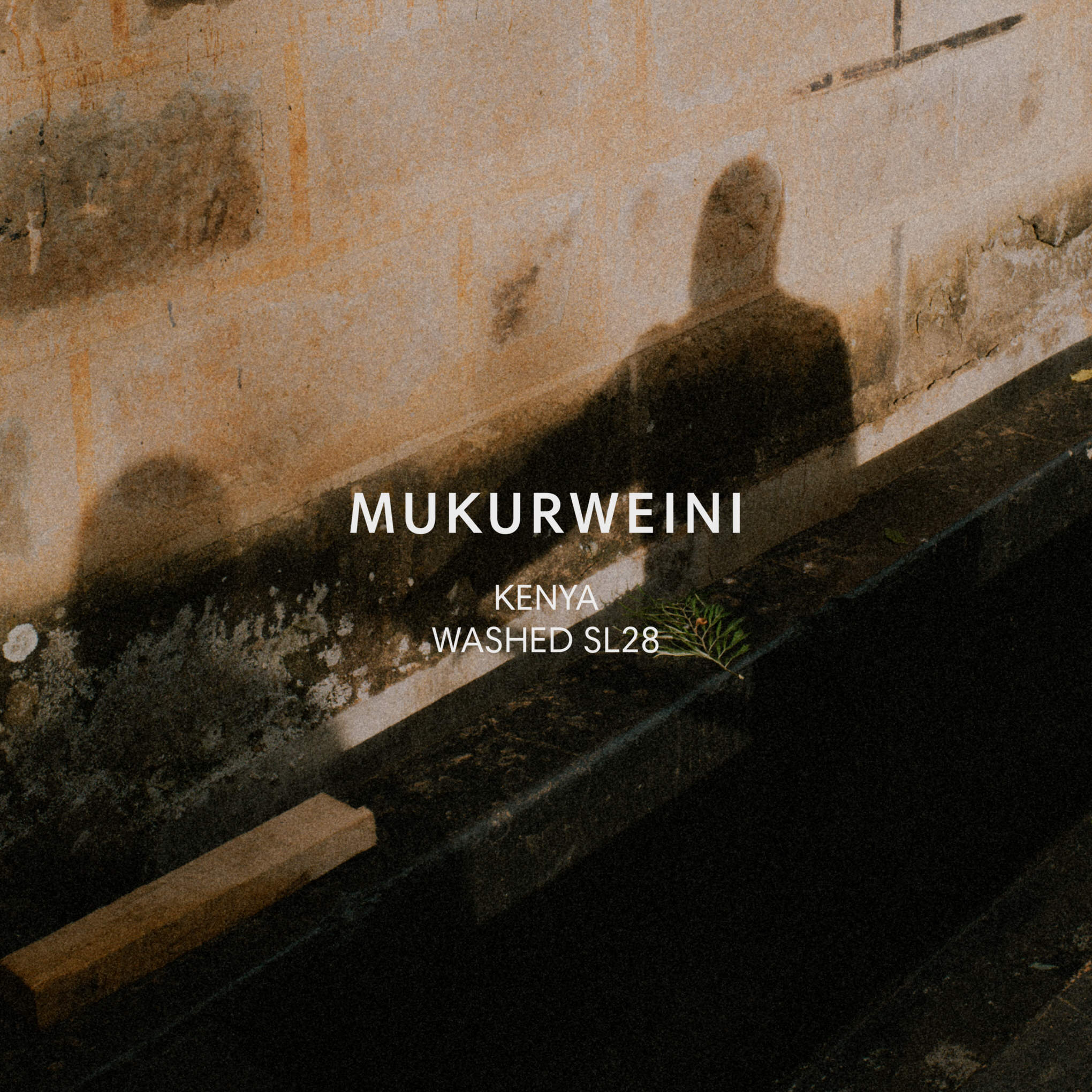 Mukurweini Washed from Mazelab Coffee