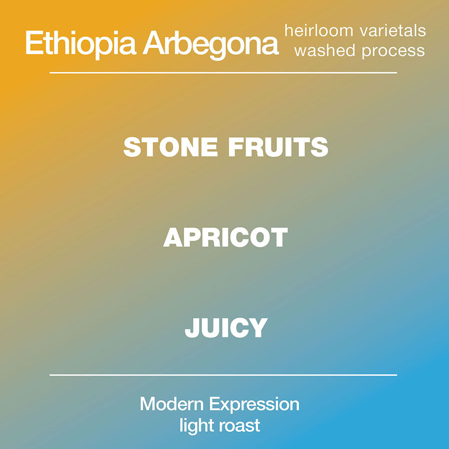 Ethiopia Arbegano Washed from Modcup Coffee
