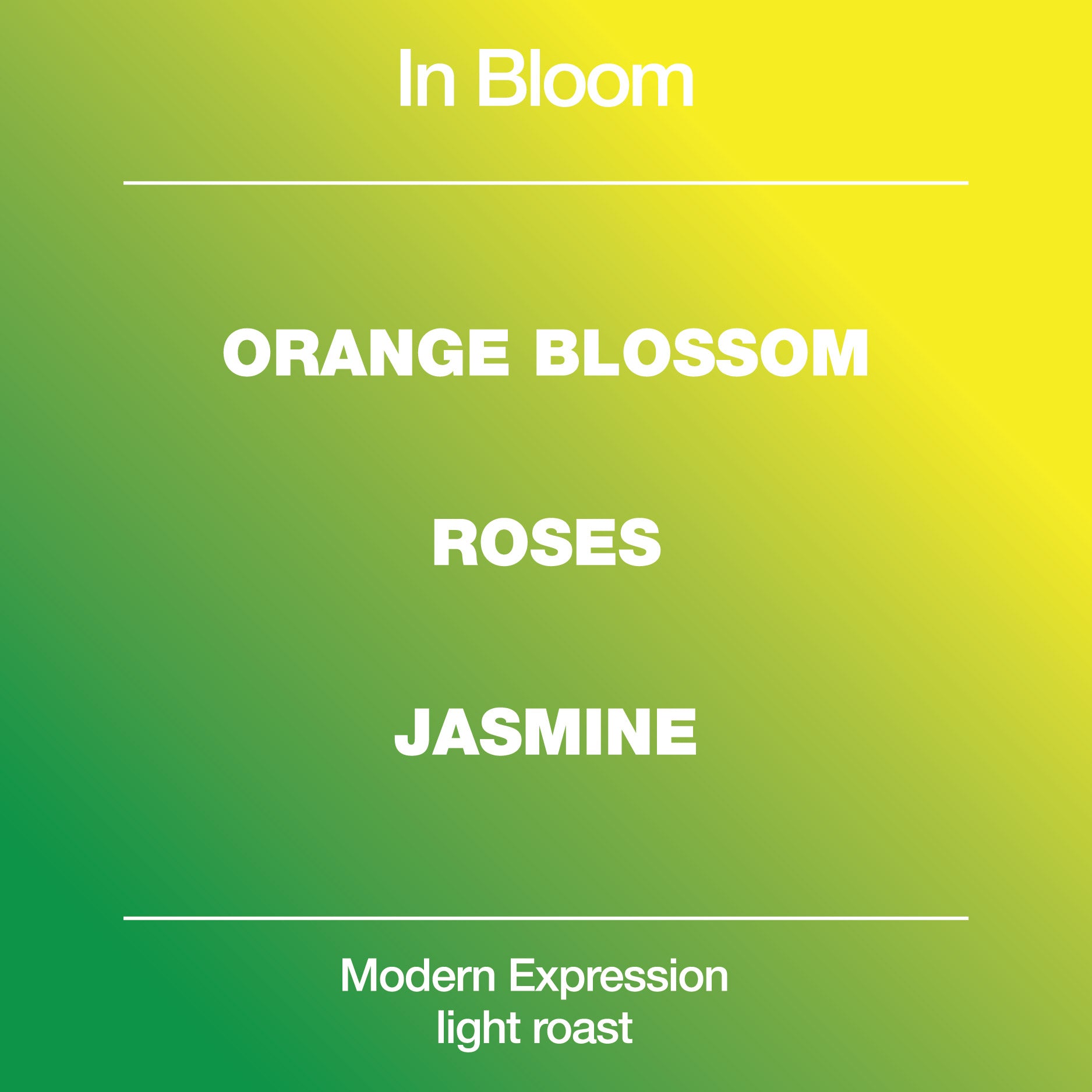 In Bloom Blend from Modcup Coffee