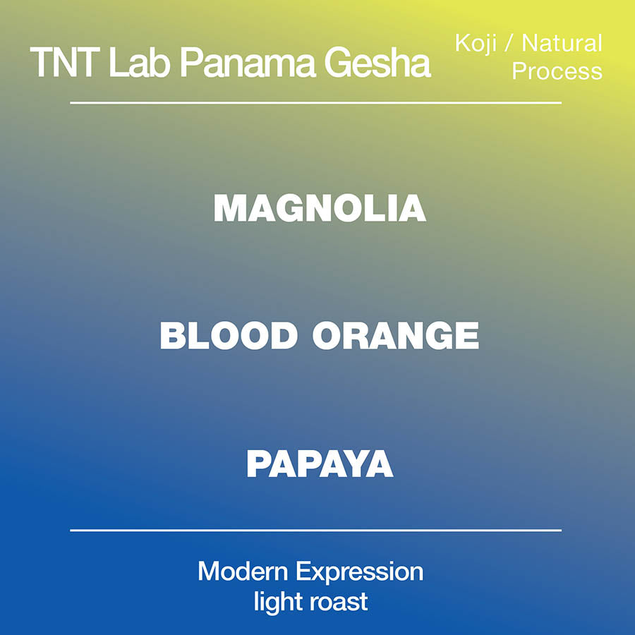 TNT Lab Panama Gesha – “Samurai Koji” from Modcup Coffee