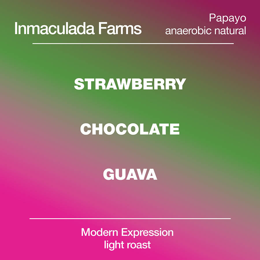 Inmaculada Papayo Natural Anaerobic from Modcup Coffee