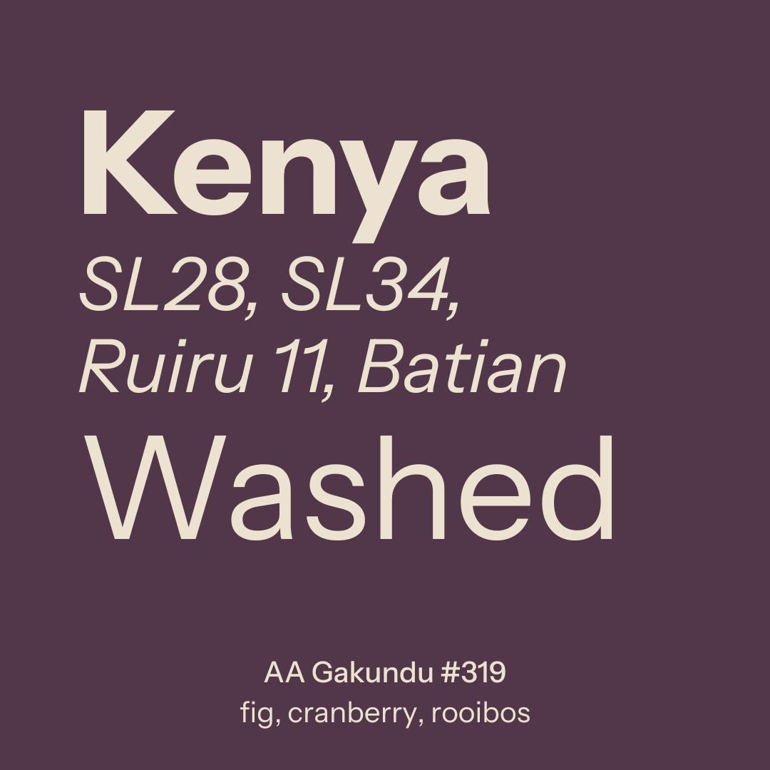 Kenya (AA Gakundu) from Nostos Coffee