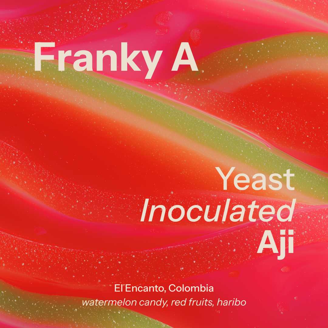 Franky A from Nostos Coffee