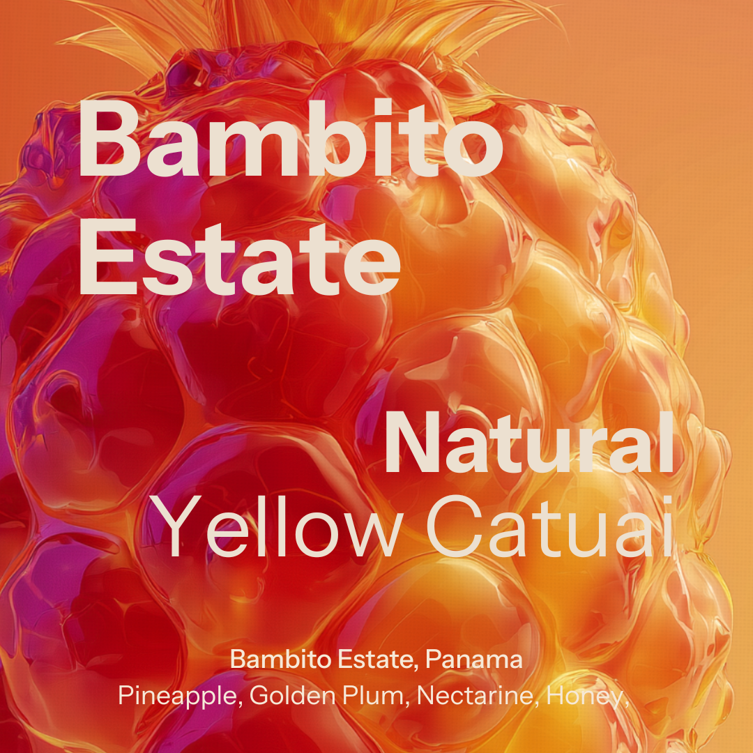 Panama (Bambito YCN) from Nostos Coffee