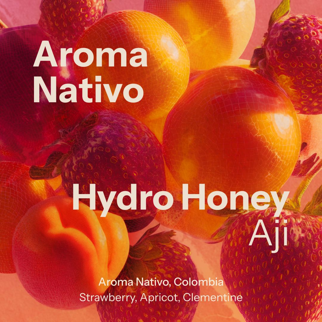 Aroma Nativo Aji 449 from Nostos Coffee