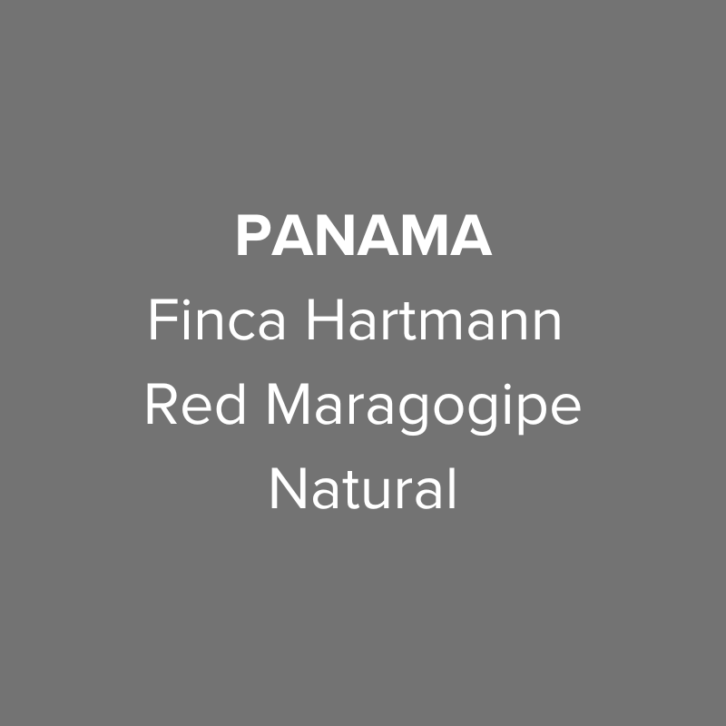 Finca Hartmann Red Maragogipe Natural from Oma Coffee Roaster