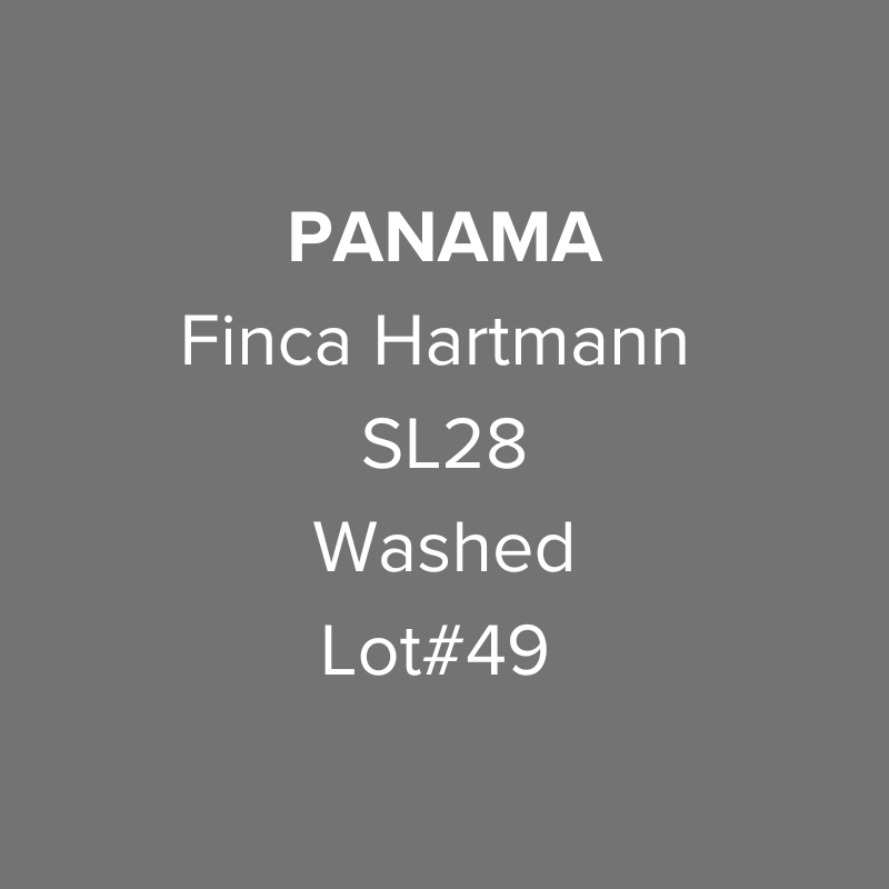 Panama Finca Hartmann SL28 Washed from Oma Coffee Roaster