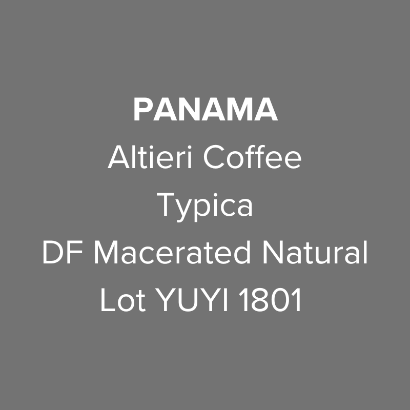 Panama Altieri Coffee Typica DF Macerated Natural Lot YUYI 1801 from Oma Coffee Roaster
