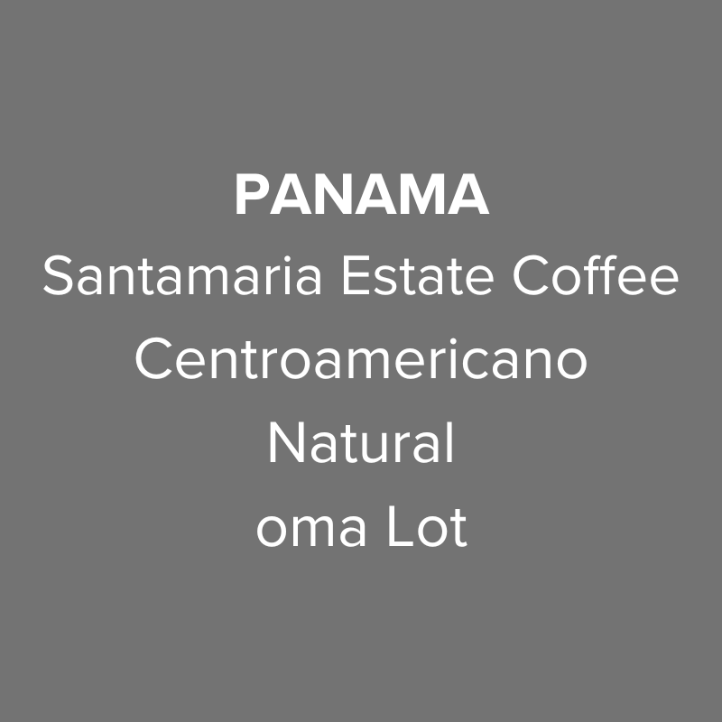 Panama Santamaria Centroamericano Natural oma Lot from Oma Coffee Roaster