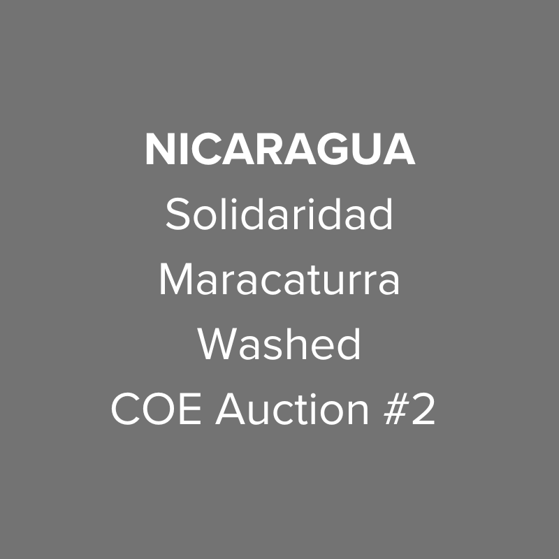 Nicaragua Solidaridad Maracaturra Washed COE Auction #2 from Oma Coffee Roaster