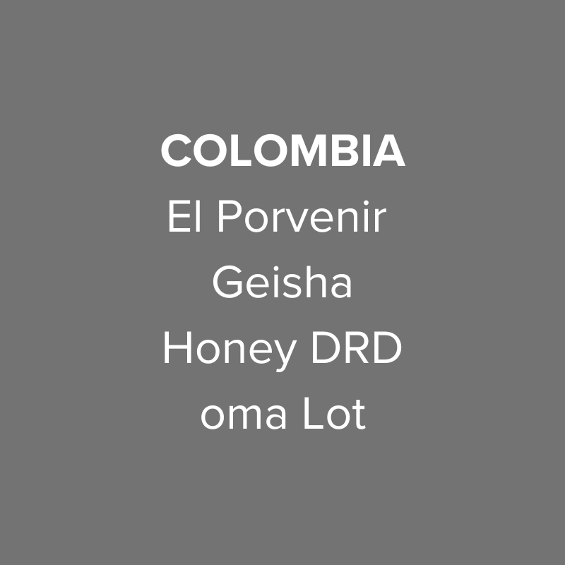 Colombia El Porvenir Geisha Honey DRD oma Lot from Oma Coffee Roaster
