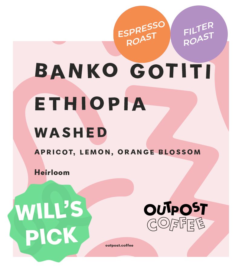Banko Gotiti, Washed, Ethiopia from Outpost Coffee Roasters