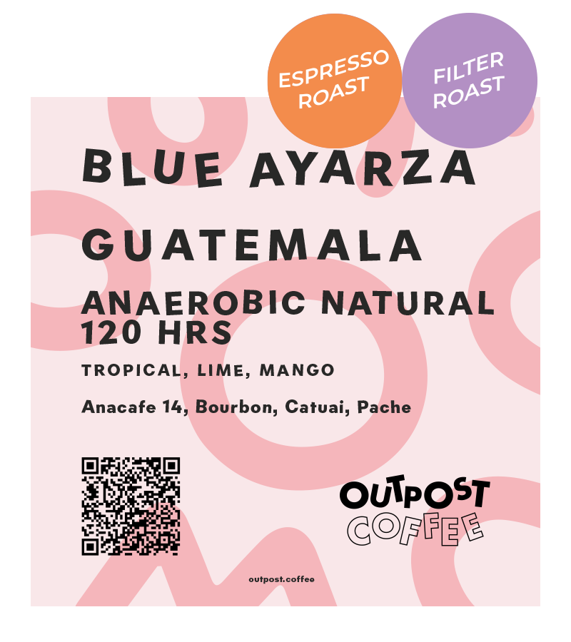 Blue Ayarza, Anaerobic Natural from Outpost Coffee Roasters