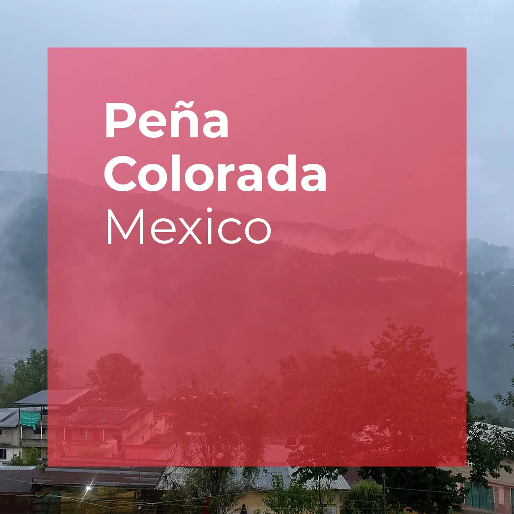 Peña Colorada, Community Lot from PLOT Roasting