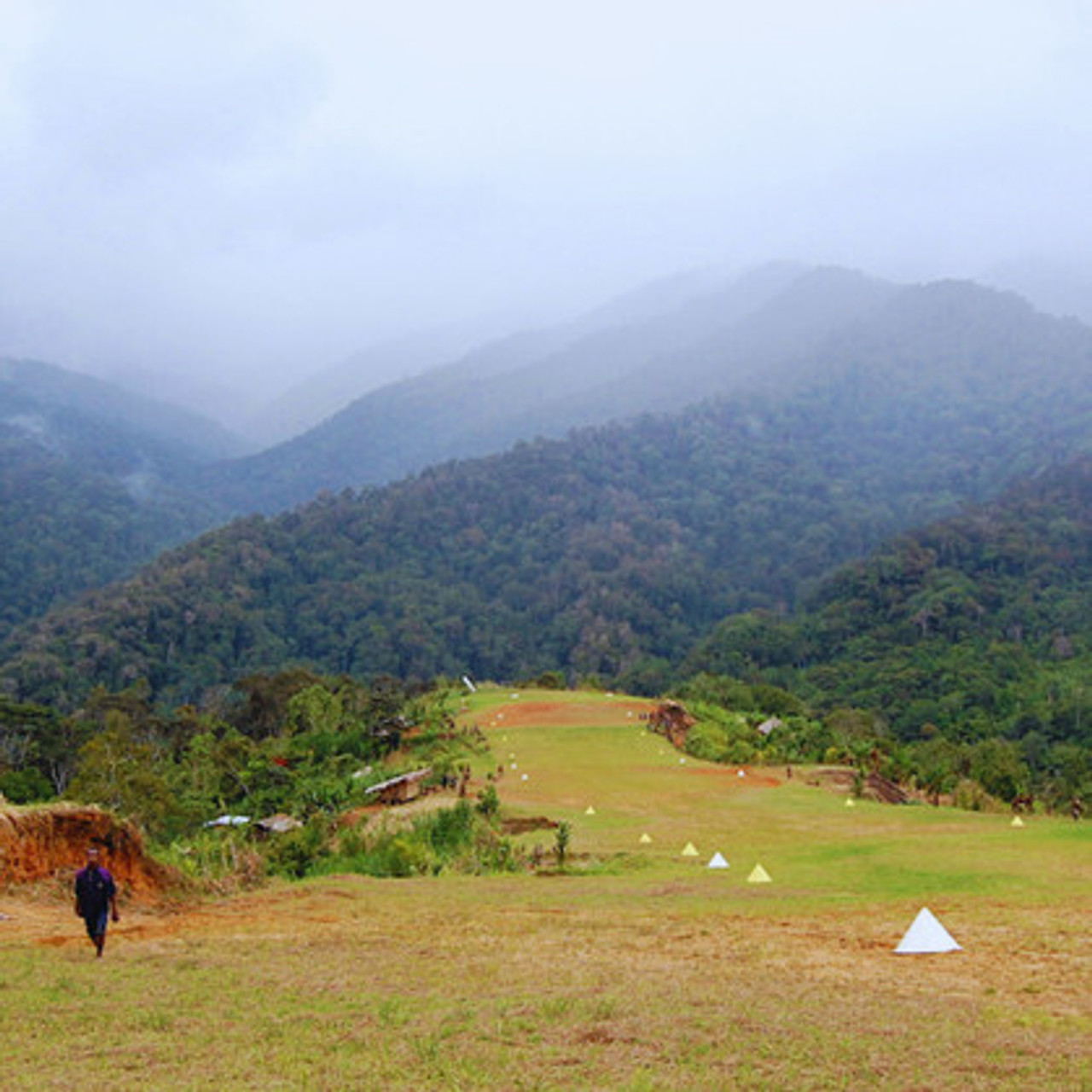Papua New Guinea Simbai Balus from Revel Coffee