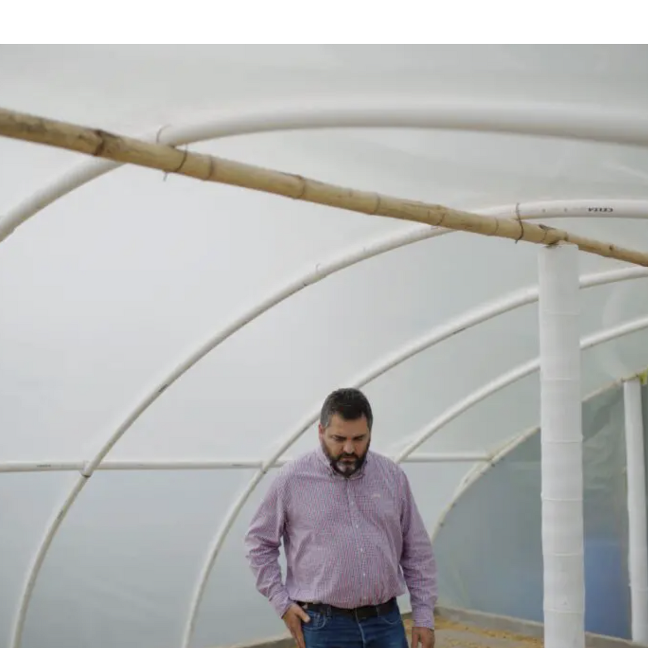 Colombia Finca Milan Nitro Caturra from Revel Coffee