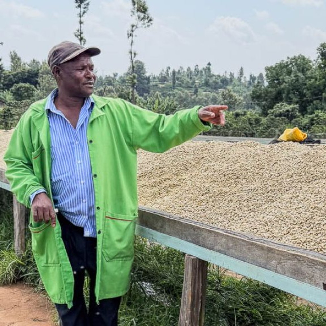 Kenya Nyeri Gichichi AA from Revel Coffee