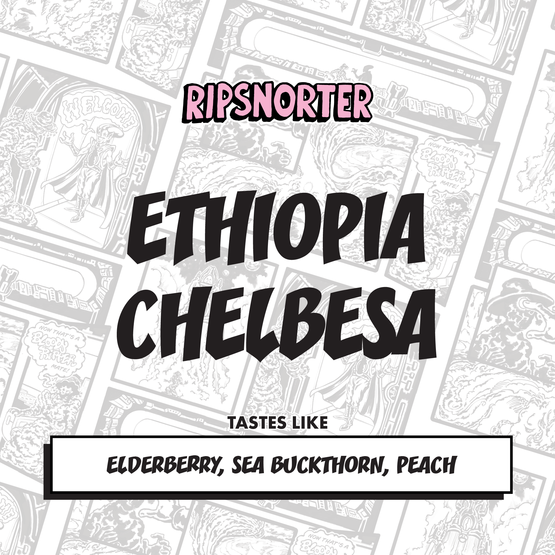Chelbesa | Ethiopia Natural from Ripsnorter