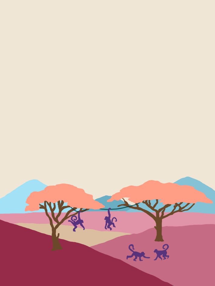 Matongo - Burundi from Sango Speciality Coffee