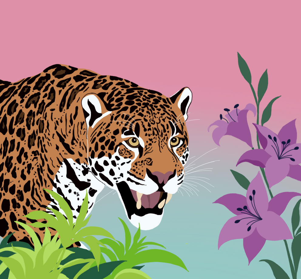 Letty from Sango Speciality Coffee