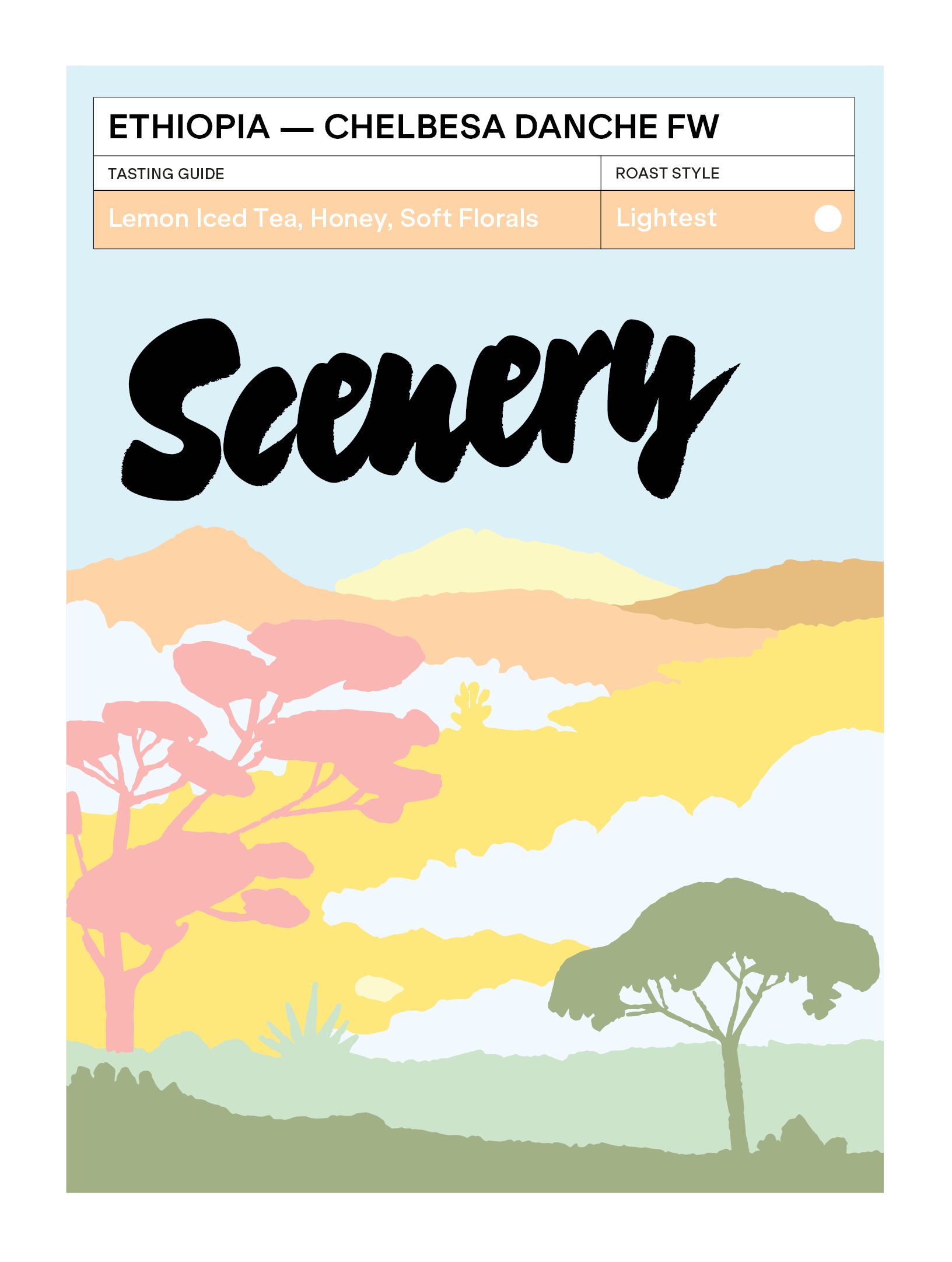 Ethiopia - Chelbesa Danche FW from Scenery Coffee