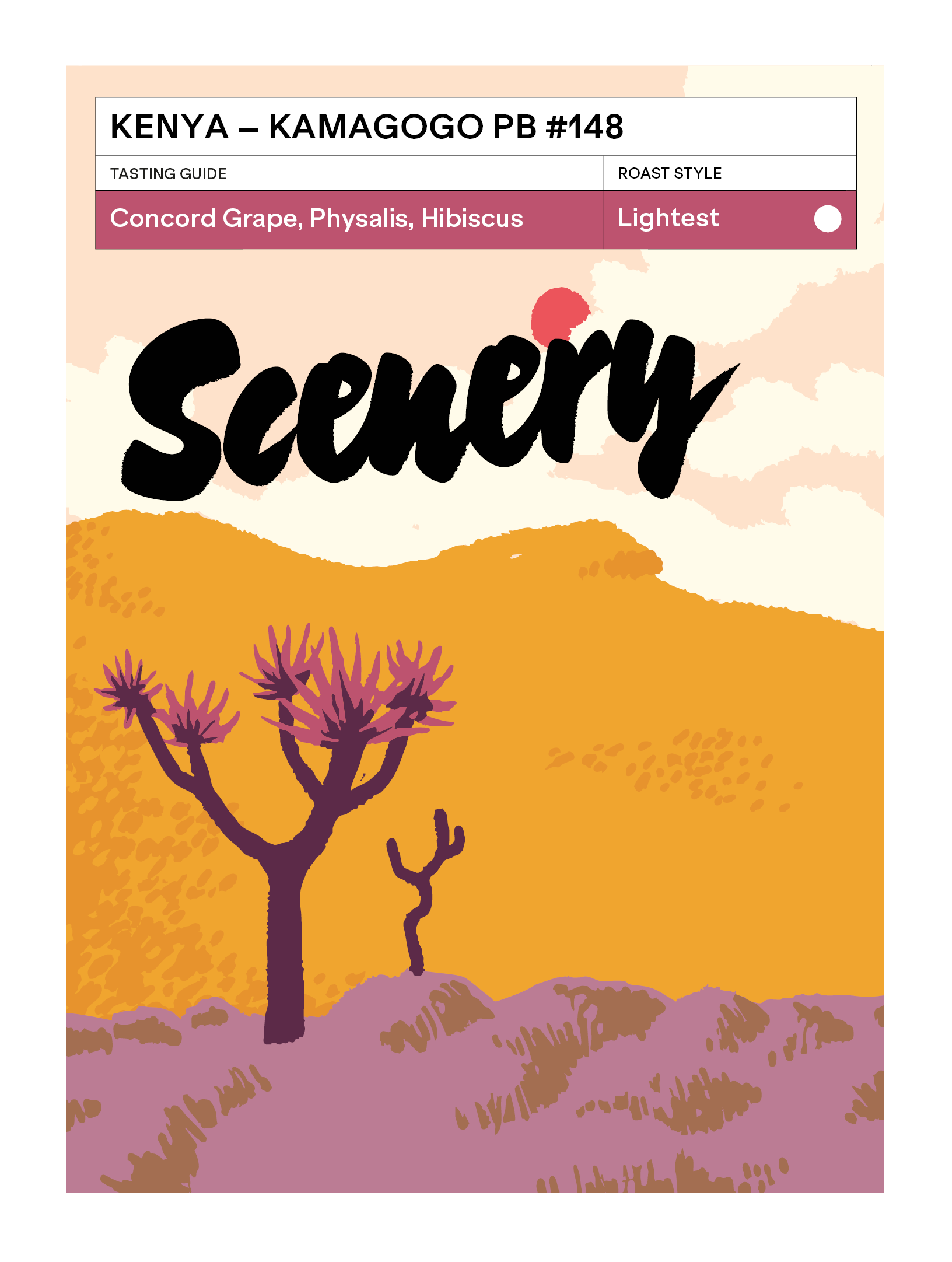 Kamagogo PB #148 from Scenery Coffee