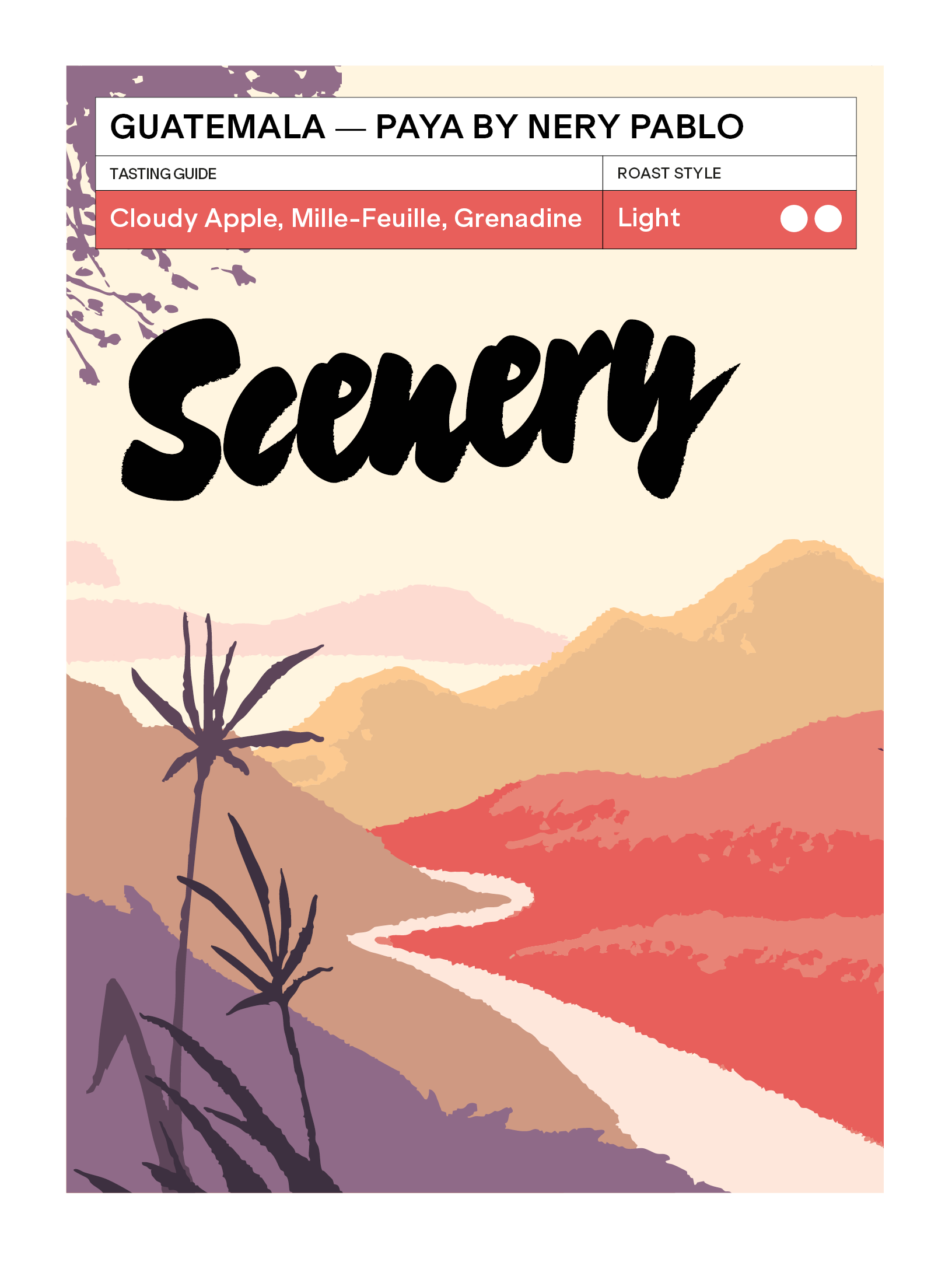 Paya by Nery Pablo [24/25] from Scenery Coffee