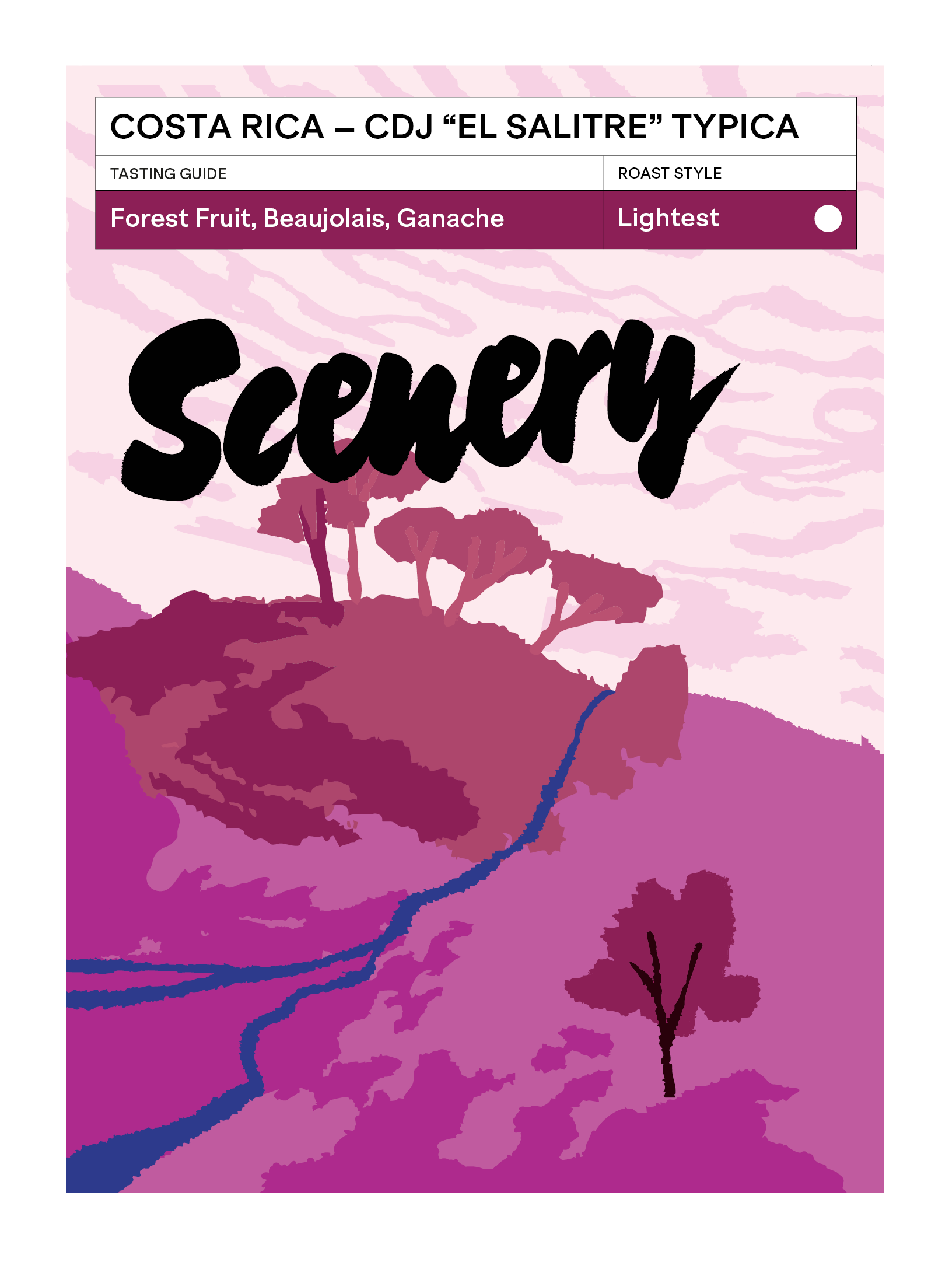 Corazón de Jesús "El Salitre" Typica from Scenery Coffee