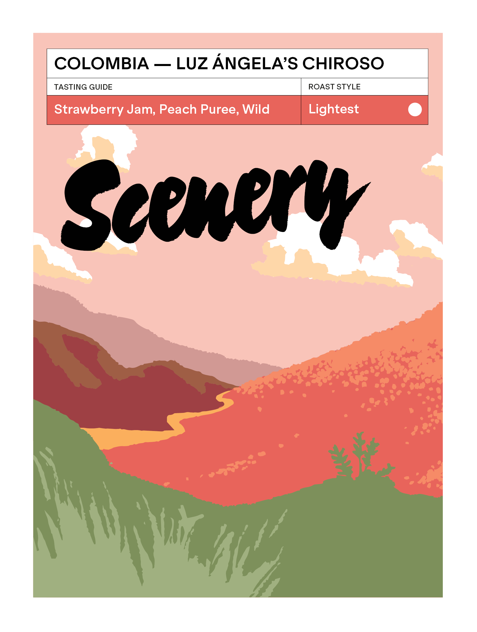 Luz Ángela's Chiroso [25/26] from Scenery Coffee