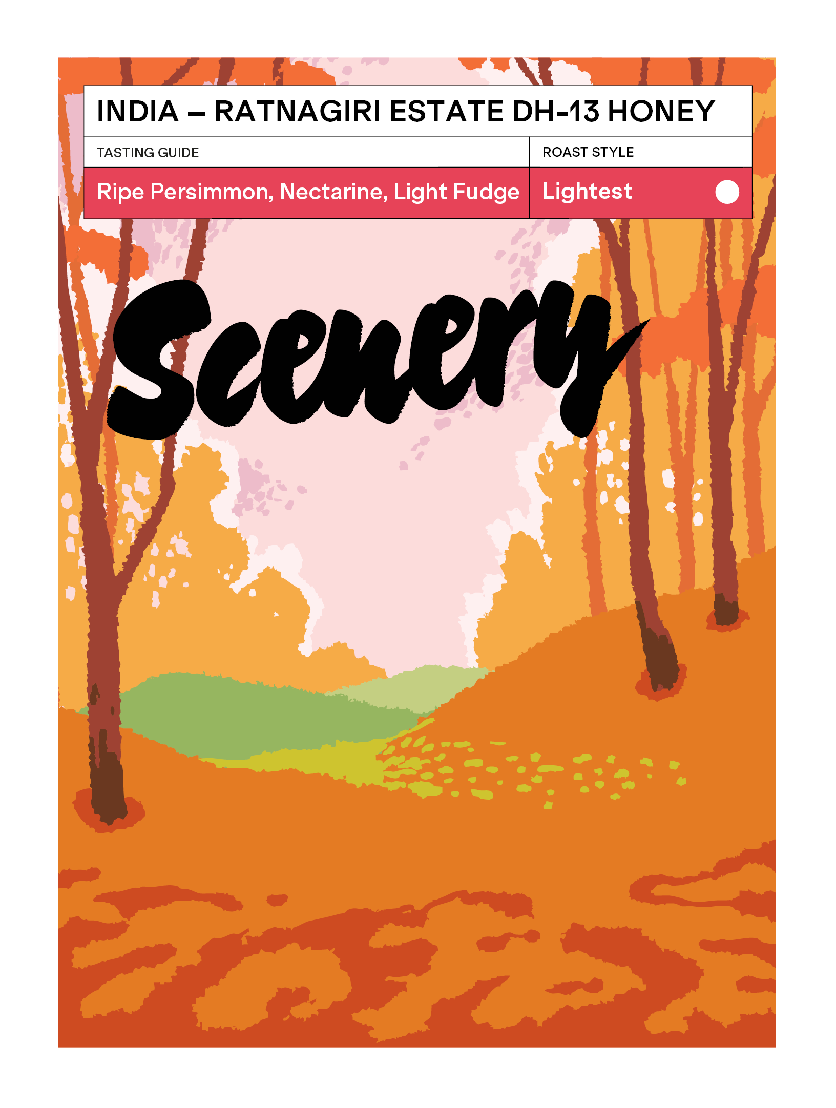 India - Ratnagiri Estate DH-13 Honey from Scenery Coffee