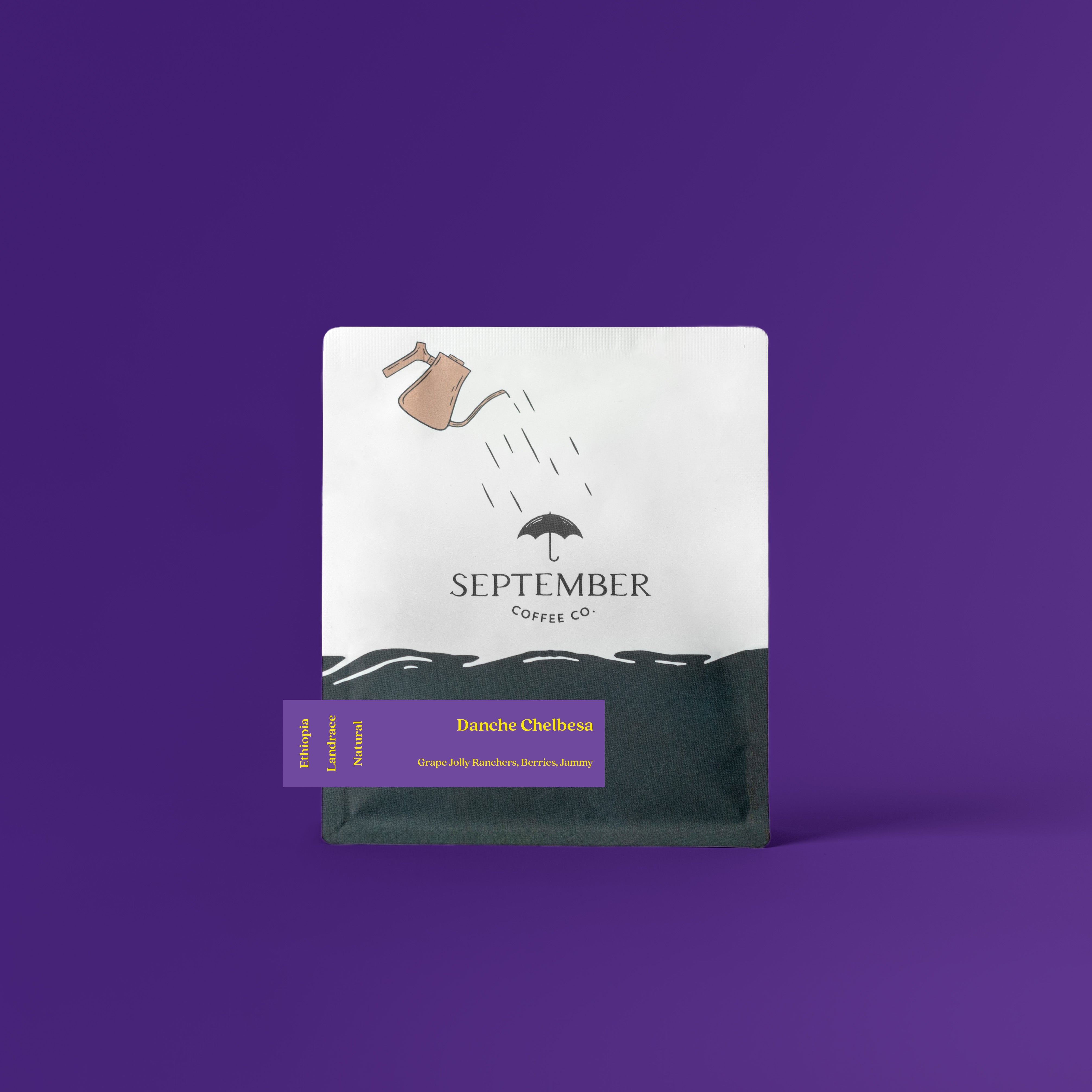 Danche Chelbesa - Ethiopia from September Coffee Company