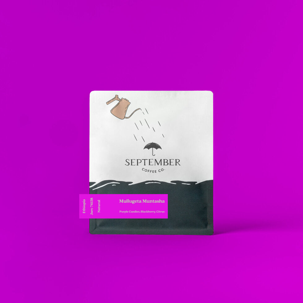 Mullugeta Muntasha - Natural 2025 from September Coffee Company