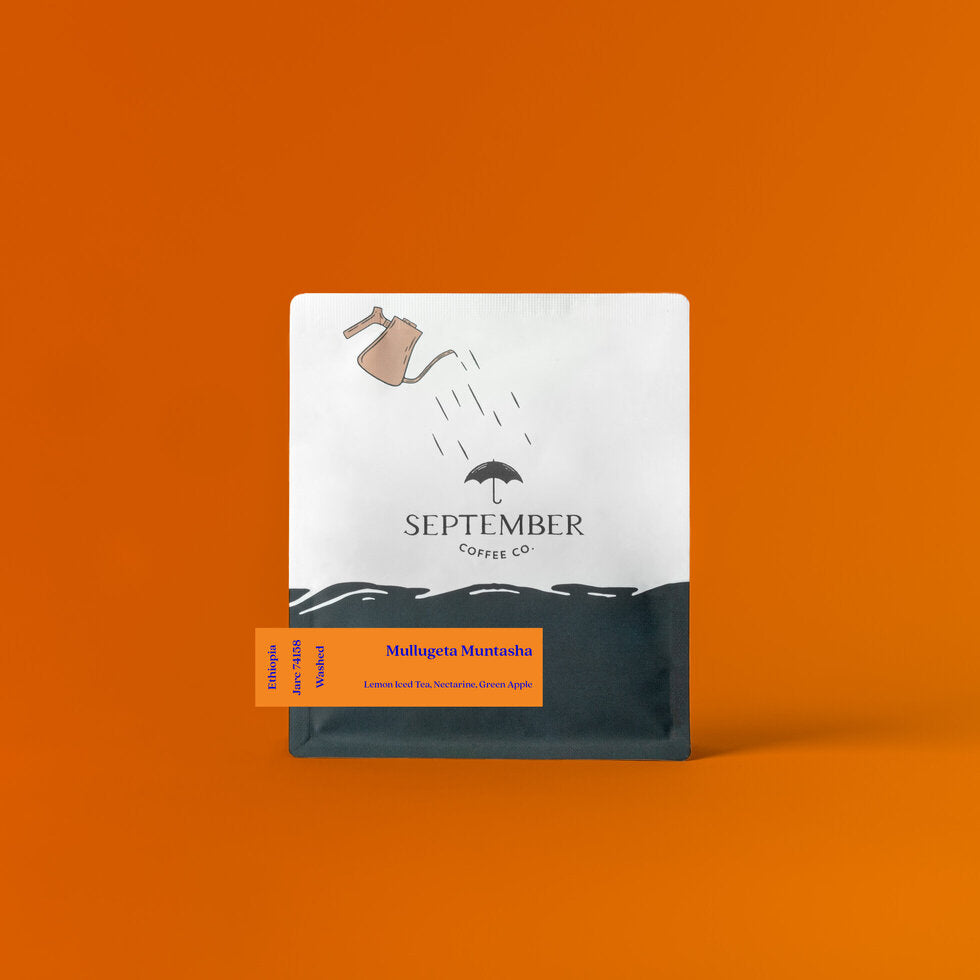 Mullugeta Muntasha - Washed 2025 from September Coffee Company