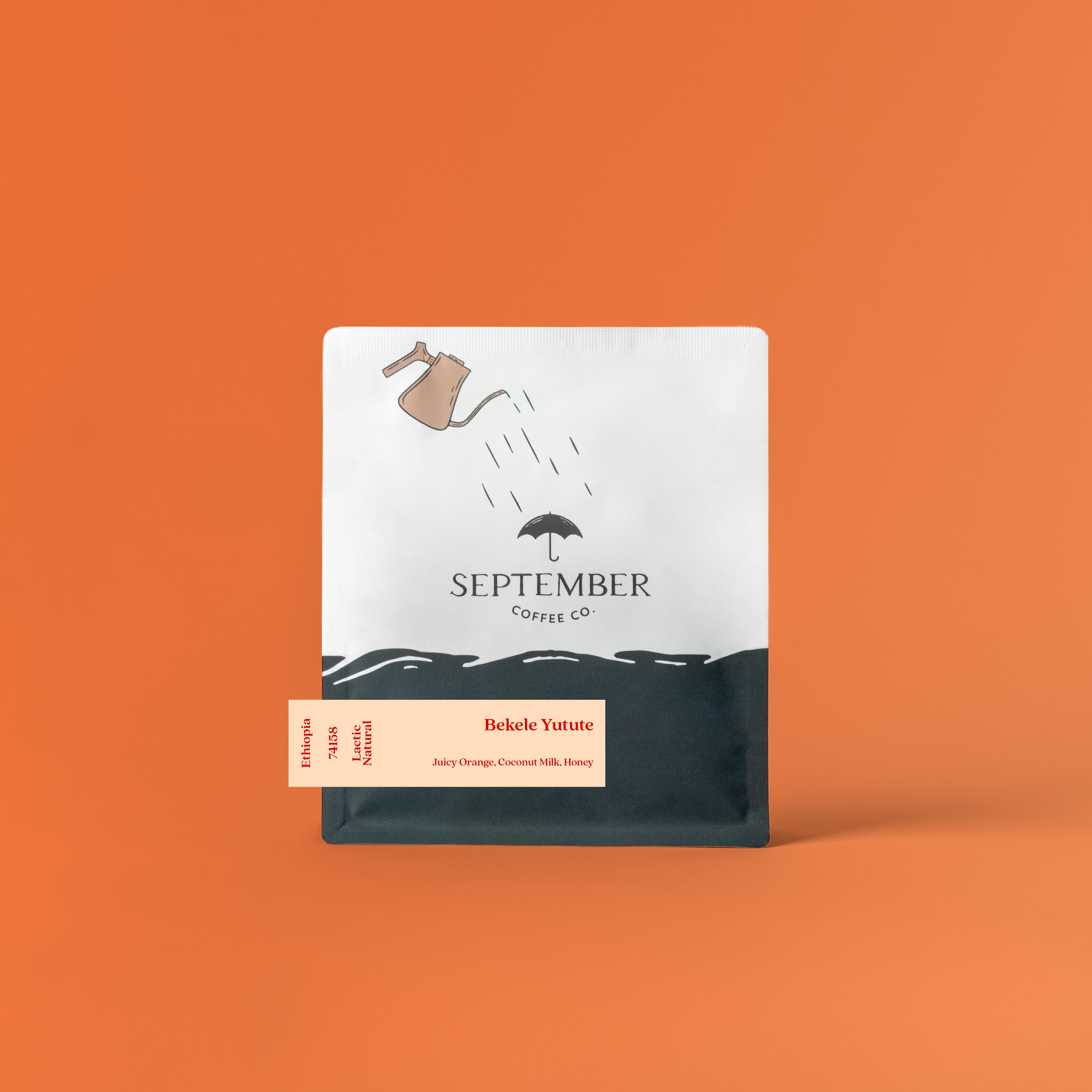 Bekele Yutute - Lactic Natural JARC 74158 from September Coffee Company