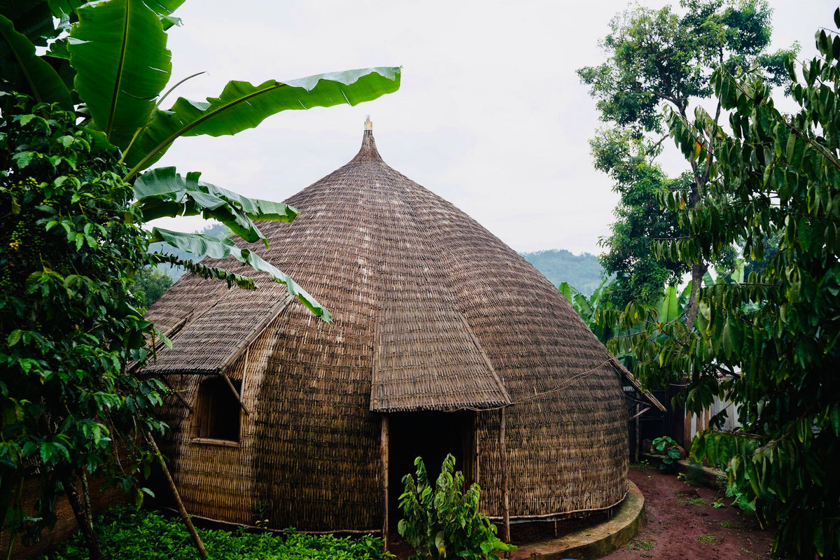 Ethiopia Bette Buna Natural from Skylark Coffee