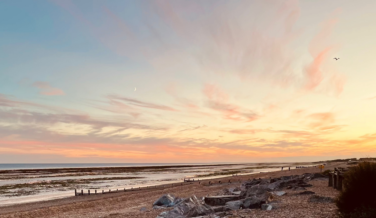 Twilight Decaf from Skylark Coffee