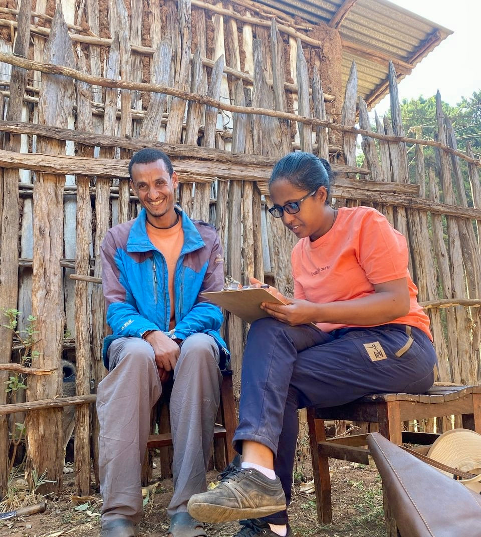 Ethiopia Yeshu Anaerobic Honey from Skylark Coffee