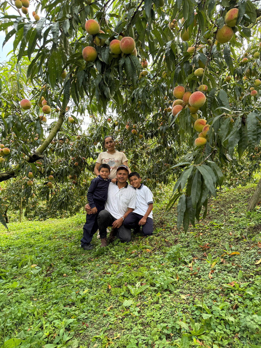 Colombia Fernando & Alejandra Manzano Natural from Skylark Coffee