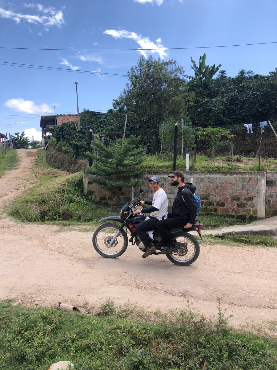 'Misfits' Colombia Hervey & Rocio Natural from Skylark Coffee