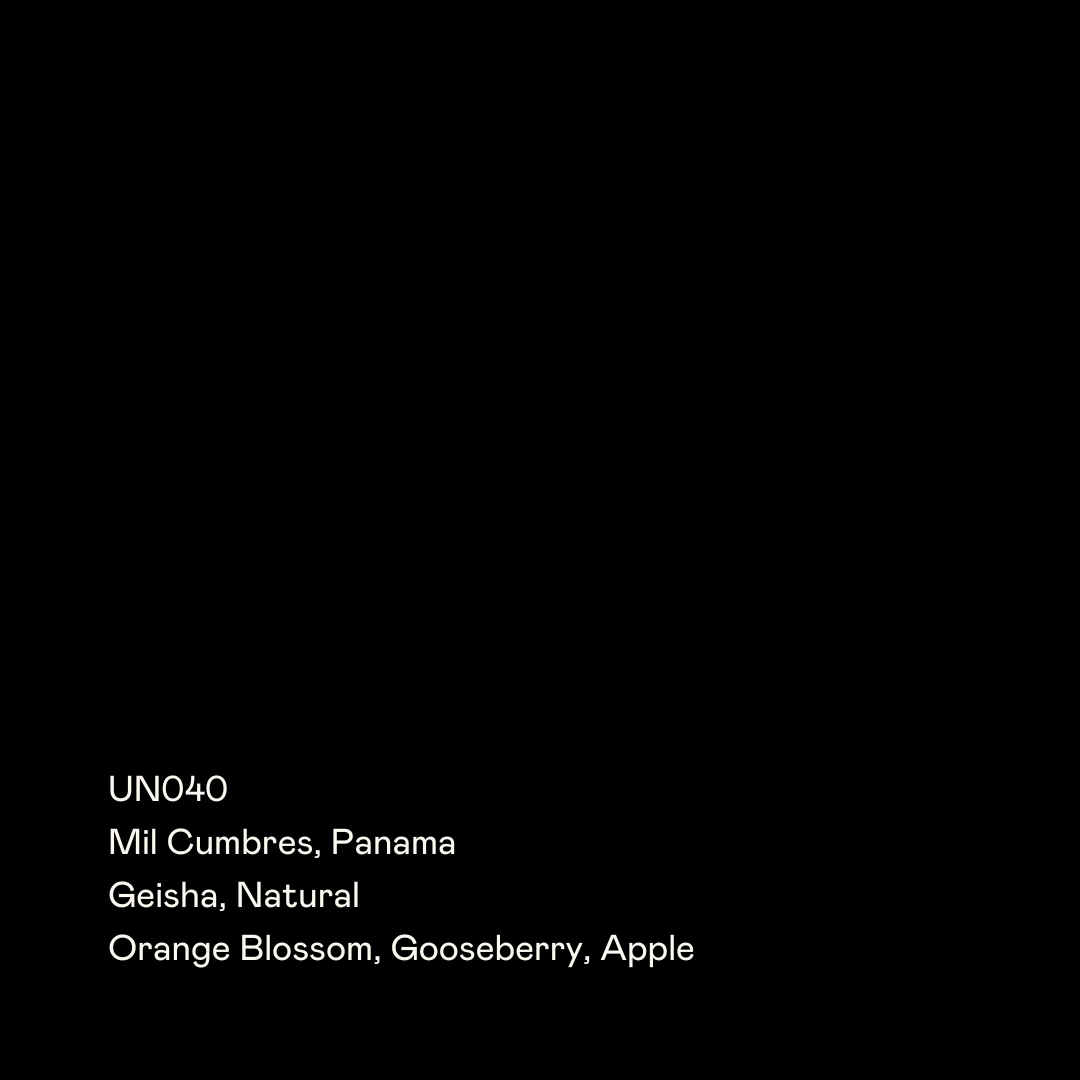 Mil Cumbres, Geisha Natural from Special Guests Coffee