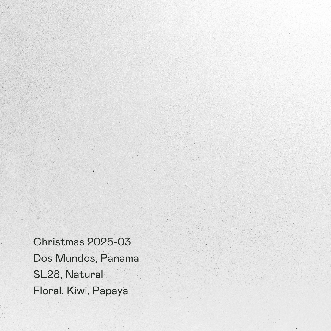 Dos Mundos, SL28 Natural from Special Guests Coffee