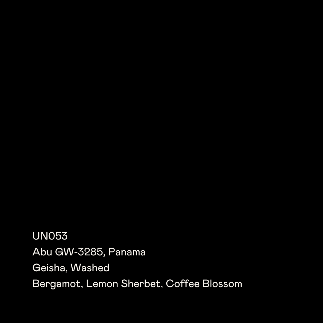 Abu GW-3285, Geisha Washed from Special Guests Coffee