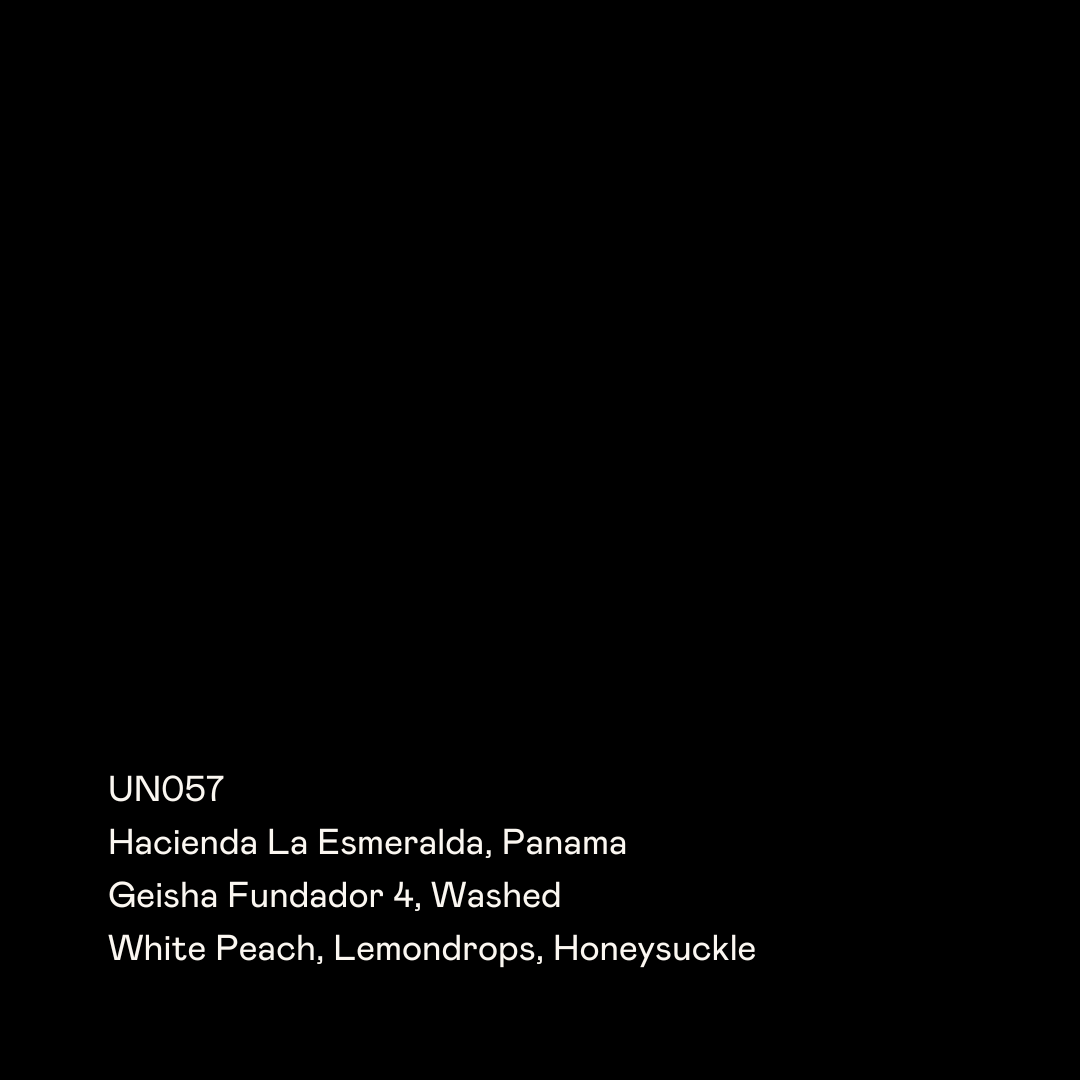 Hacienda La Esmeralda Fundador 4 WB, Geisha from Special Guests Coffee