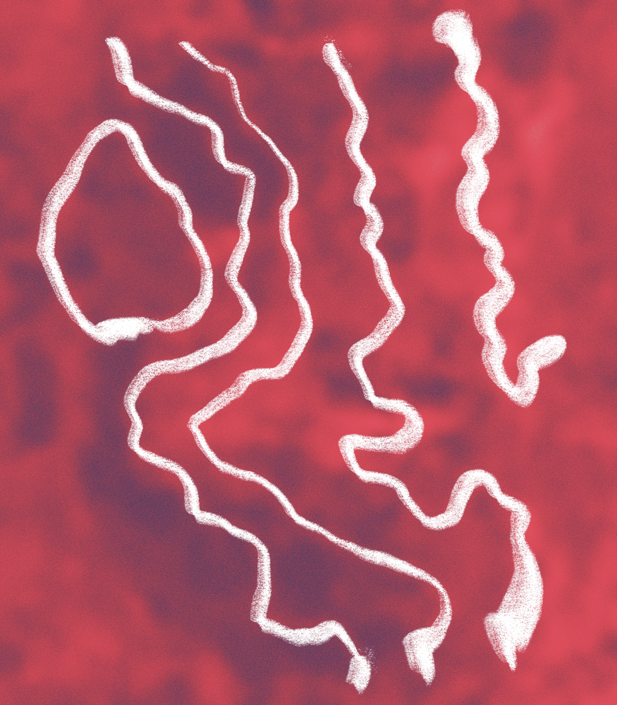 Against the Odds • Black Honey  • Arabica Selection 9 • India from Taith Coffee