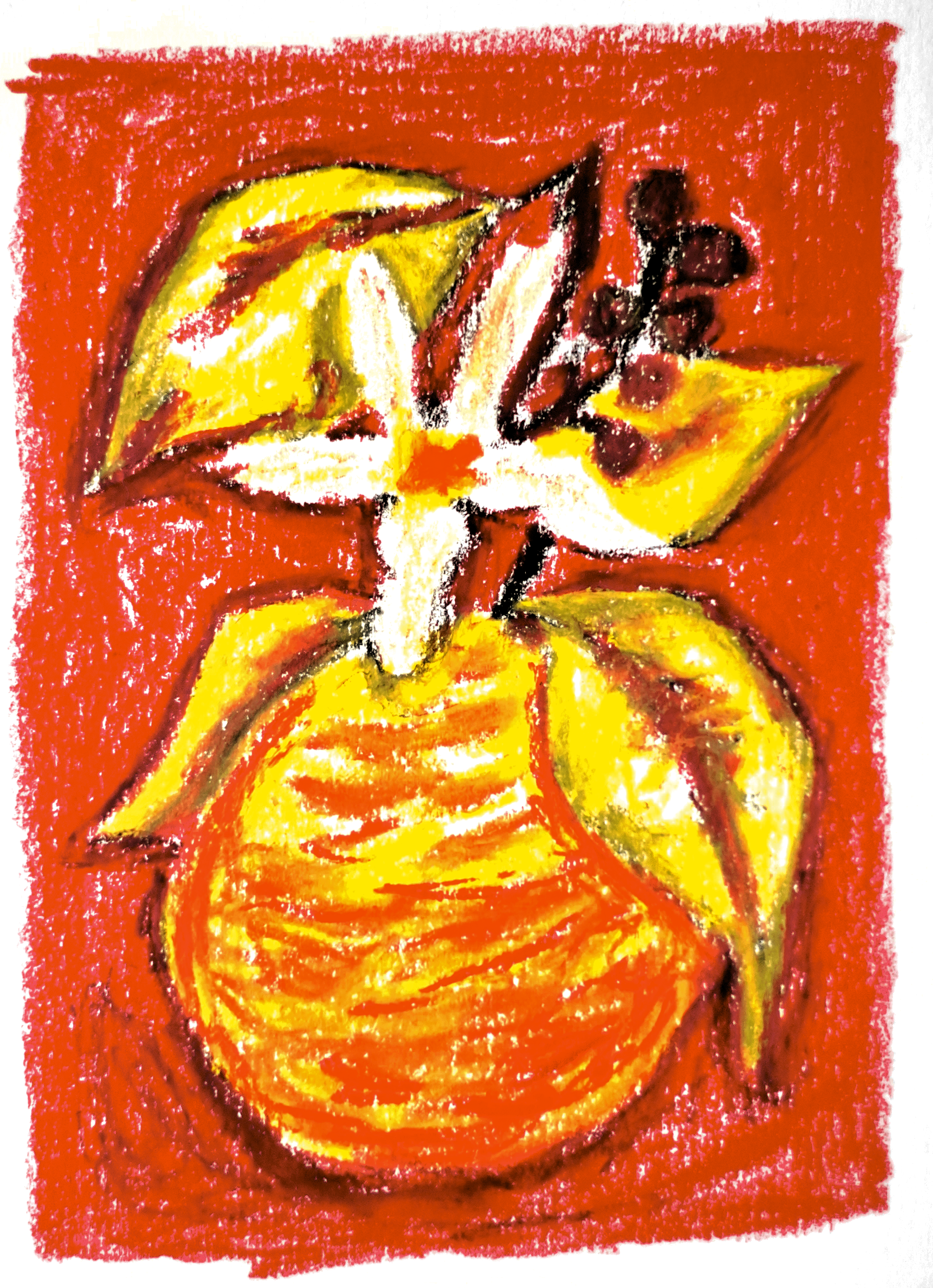 Lot 20 'The Lab' Anaerobic Natural Orange Co-Ferment from Taith Coffee