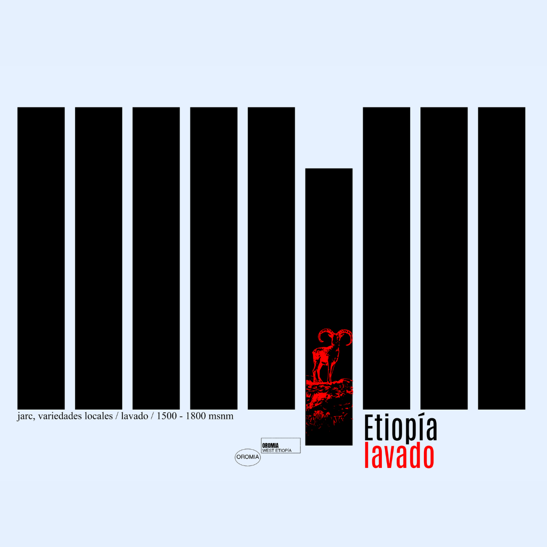 Ethiopia from Taller Café